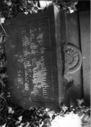 Grabstein 231 (Index: 100093570) Maße HxBxT: 169x49x28 cm Symbolik: Verzierungen Besonderheit: Kindergrab: Grabstein 231B
