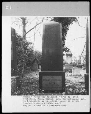 Grabstein von Fanny Gimbel (geborene Seelenberger) (gestorben 1909.05.28)
