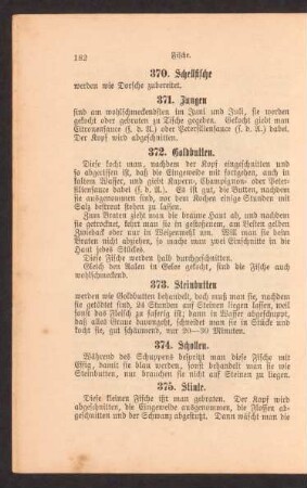 373. Steinbutten.