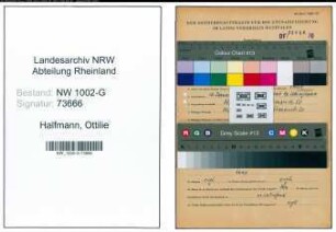 Entnazifizierung Ottilie Halfmann, geb. 10.01.1888 ()