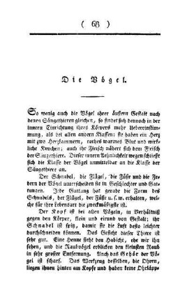 ¬Die¬ Vögel