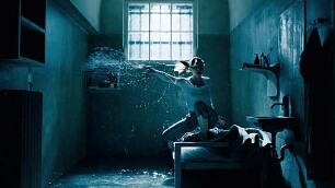 Fly