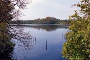 Grabauer See: Blick Richtung Norden: hinten gegenüberliegendes Ufer, Wald: 9. Mai 2003