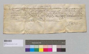 Papst Innozenz X. gewährt dem Karmelitenkloster in Straubing einen Ablass. S: Papst Innozenz X.