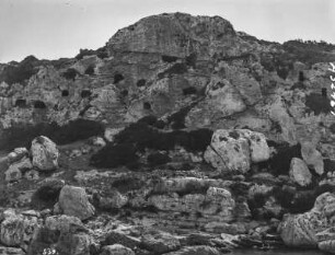 Felsen : Blick auf eine zerklüftete Felswand