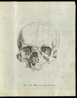 IX. Indi-Americae septentrionalis