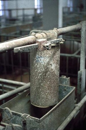 Fotografie: Fütterungstechnik, Mastschwein, Trockenfütterungsanlage, Wiegetechnik
