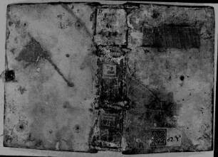 Reginaldi vel Reinaldi Carmina - BSB Clm 18580