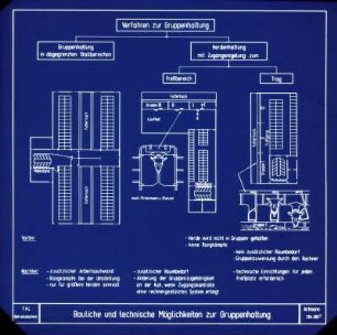 Bauliche und technische Möglichkeiten zur Gruppenhaltung (nach Pirkelmann u. Stanzel)
