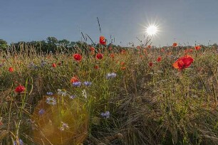 Heimat Natur