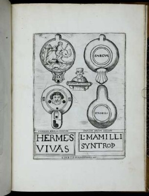 Hermes Vivas - L. Mamilli Syntrop