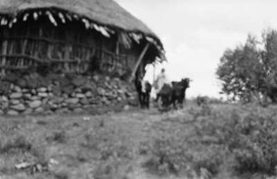 Dorf bei Dessie : Blick auf eine Dorflandschaft mit Hütte, Bewohner und Tieren