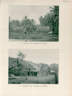 Tafel 30.: 54. Toli-toli an der Westküste von Celebes. 55. Donggala an der Westküste con Celebes
