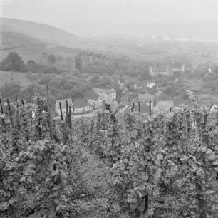 Blick von einem Weinberg auf Rheinbreitbach