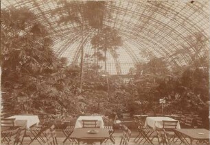 Palmenhaus der Flora Charlottenburg