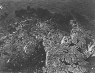 Küste : Blick auf die Küste von Veli Lošinj.