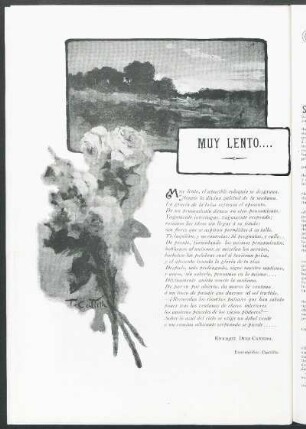 Muy lento....