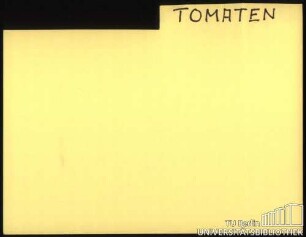 TOMATEN: Allgemein