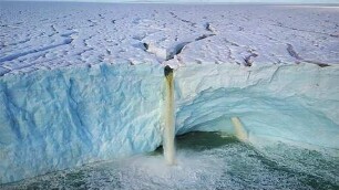 Spitzbergen - Auf Expedition in der Arktis