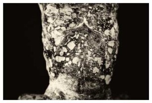 PASSION - BEFRAGUNG XXIII