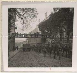 Gebirgsjäger mit Tragtieren passieren beim Marsch zur Front die Stadt Gorlice.