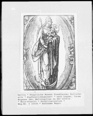 Muttergottes in der Glorie