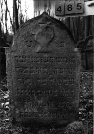 Grabstein 485 (Index: 99752886) Material: Sandstein Zustand: leicht verwittert Maße HxBxT: 110x67x9 cm Beschreibung: Stele, eingezogener Spitzbogenabschluß, Schriftfeld eingetieft Symbolik: Levitenkanne: Grabstein 485