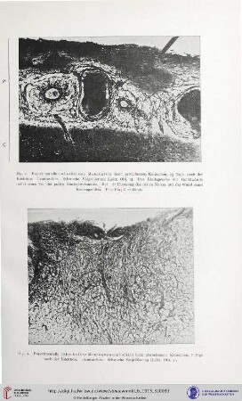 Fig. 1- Fig. 17c