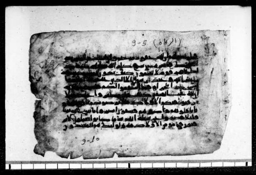 al- Qurʾān [DAM 10-12.2]