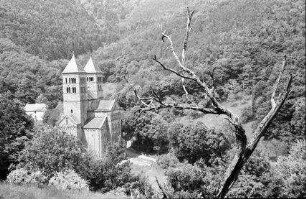 Murbach: Klosterkirche, von oben, mit kahlem Baum im Vordergrund