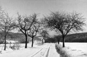 Wilsdruff-Helbigsdorf. Blick vom Steinbacher Weg ins Triebischtal