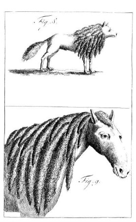 Fig. IX.