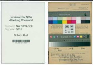 Entnazifizierung Kurt Scholz , geb. 23.11.1908 (Chemiewerkselektriker)