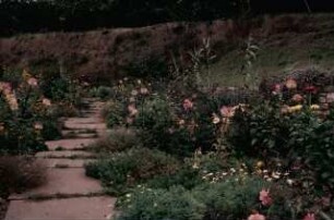 Haus Petersen Lilienhof: Garten im Sommer