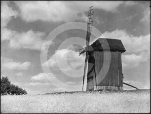 Windmühle bei Ciechocinek (Hermannsbad)