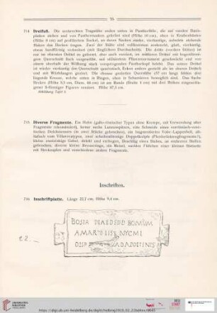 Inschriften (Nr. 716-740)