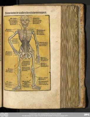 Homo natus de muliere: brevi vivens tempore.