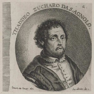 Bildnis des Thaddeo Zucharo