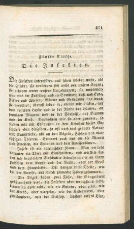 Fuenfte Klasse. Die Insekten.