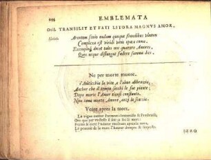 Transilit Et Fati Litora Magnvs Amor