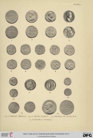 Plate 1-201