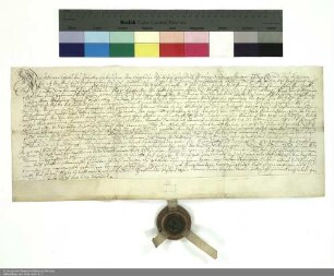Revers der Brüder Johann Leopold und Valentin von Geyso zu Völkershausen und Mansbach bezüglich der Belehnung mit der Wüstung Standorf und weiteren im Einzelnen aufgeführten Lehen durch Adalbert [von Schleifras], Abt von Fulda