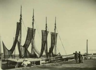 Aufgespannte Netze der Fischer im Hafen von Barth (Zingst).