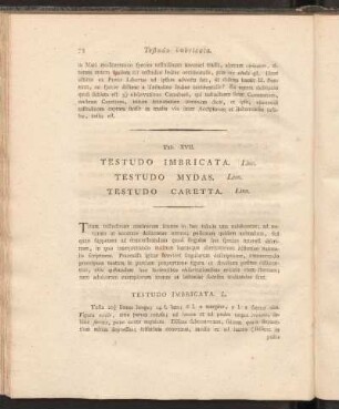 Tab. XVII: Testudo Imbricat. Linn., Testudo Mydas. Linn., Testudo Caretta Linn