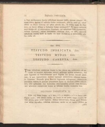 Tab. XVII: Testudo Imbricat. Linn., Testudo Mydas. Linn., Testudo Caretta Linn