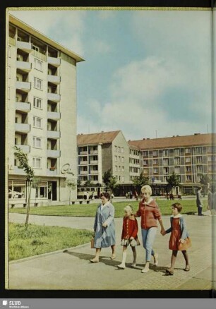21 Neubauten in Striesen