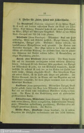 8. Weiher für Enten, Gänse und Höckerschwäne