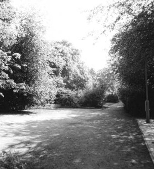 Cottbus. Puschkinpromenade. Parkweg nach Osten