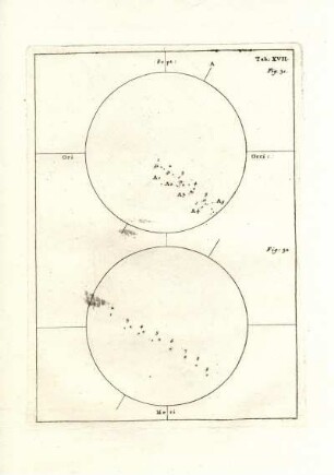 Tab: XVII