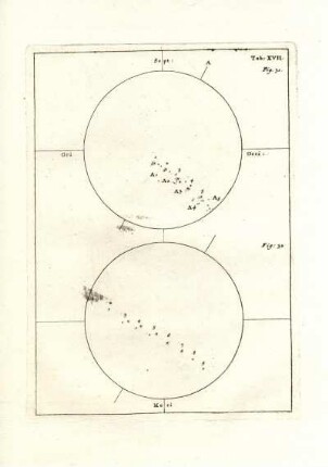 Tab: XVII